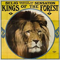 Watch Kings of the Forest (Short 1912)