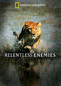 Watch Relentless Enemies