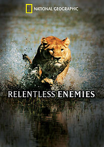 Watch Relentless Enemies