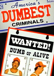 Watch America's Dumbest Criminals