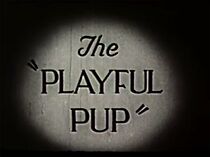 Watch The Playful Pup (Short 1937)