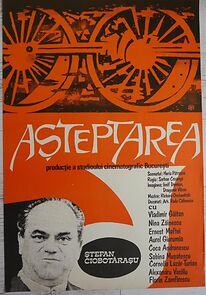 Watch Asteptarea