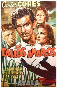 Watch The Bitter Stems