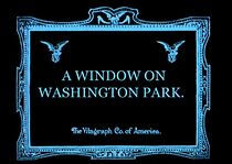 Watch A Window on Washington Park (Short 1913)