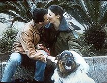 Watch Out for Love, Be Back Shortly