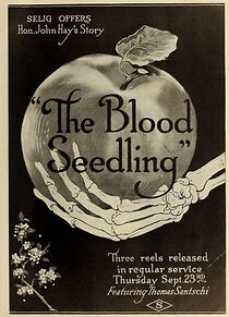 Watch The Blood Seedling (Short 1915)
