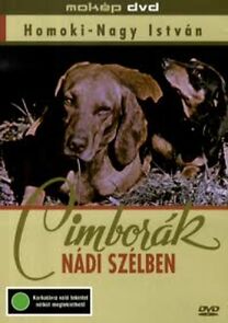 Watch Cimborák - Nádi szélben