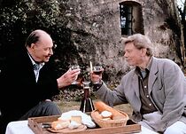 Watch Der kleine Dachschaden