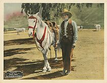 Watch The Fighting Buckaroo