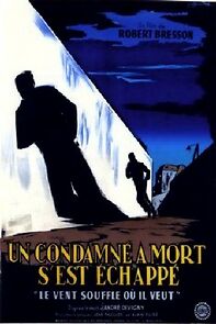 Watch The Essence of Forms