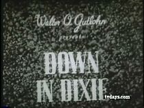 Watch Down in Dixie (Short 1932)