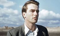 Watch Monty Clift