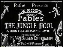 Watch Jungle Fool (Short 1929)