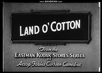 Watch Land o' Cotton (Short 1929)