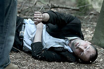 Watch Into the Woods (Short 2008)