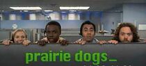 Watch Prairie Dogs