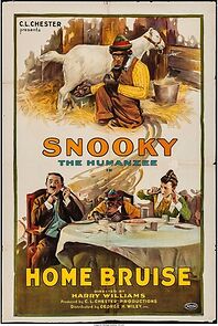 Watch Snooky's Home Run (Short 1922)