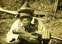 Watch Snooky's Labor Lost (Short 1921)