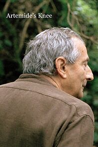 Watch Artemis' Knee (Short 2008)