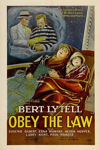 Watch Obey the Law