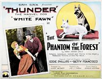 Watch The Phantom of the Forest