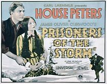 Watch Prisoners of the Storm