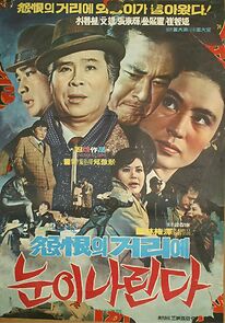 Watch Wonhanui geori nuni naerinda