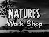 Watch Nature's Workshop (Short 1933)