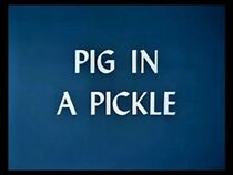 Watch Pig in a Pickle (Short 1954)
