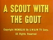 Watch A Scout with the Gout (Short 1947)
