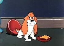 Watch Squirrel Crazy (Short 1950)