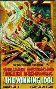 Watch The Winking Idol