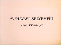 Watch Havasi selyemfiú