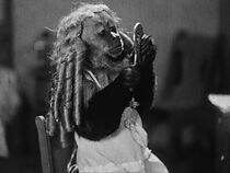 Watch Orange Blossoms for Violet (Short 1952)