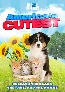 Watch America's Cutest