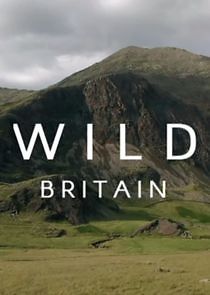 Watch Wild Britain