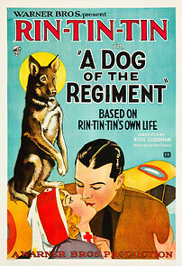 Watch A Dog of the Regiment