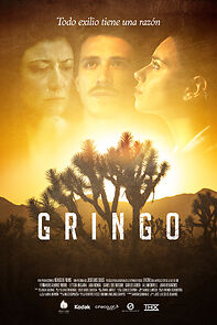 Watch Gringo