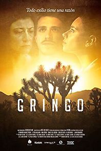 Watch Gringo