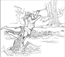 Watch Kakadu: Land of the Crocodile