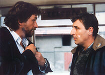 Watch Na dvore je kun, séfe!