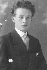 Watch L'amour fou - Ludvík Sváb