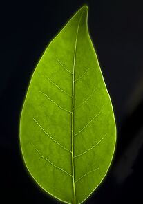 Watch El tiempo y la memoria (Short 2012)