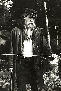 Watch Den glade enke i Trangvik