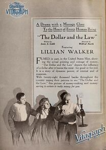 Watch The Dollar and the Law