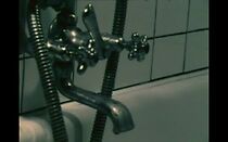 Watch Mann & Frau & Animal (Short 1973)