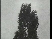 Watch Perfekt 1-3 (Short 1996)