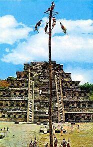 Watch The Tree of Life (Short 1976)