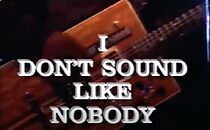 Watch Bo Diddley: I Don't Sound Like Nobody