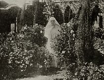 Watch The Sorrows of Love